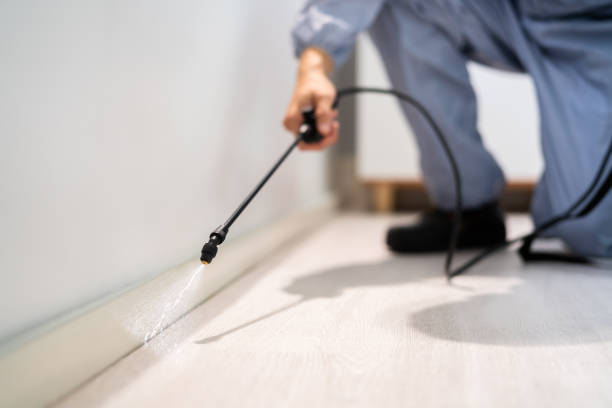 Licensed Fumigation Services service in Pearl River, LA - Nex Pest Control