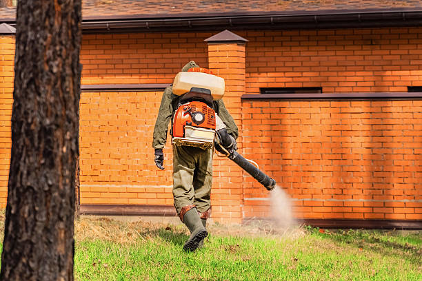 Trusted Emergency Pest Control service in Pearl River, LA - Nex Pest Control